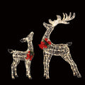 Light-Up Reindeer Set, Set of 2, 170 Warm White LEDs