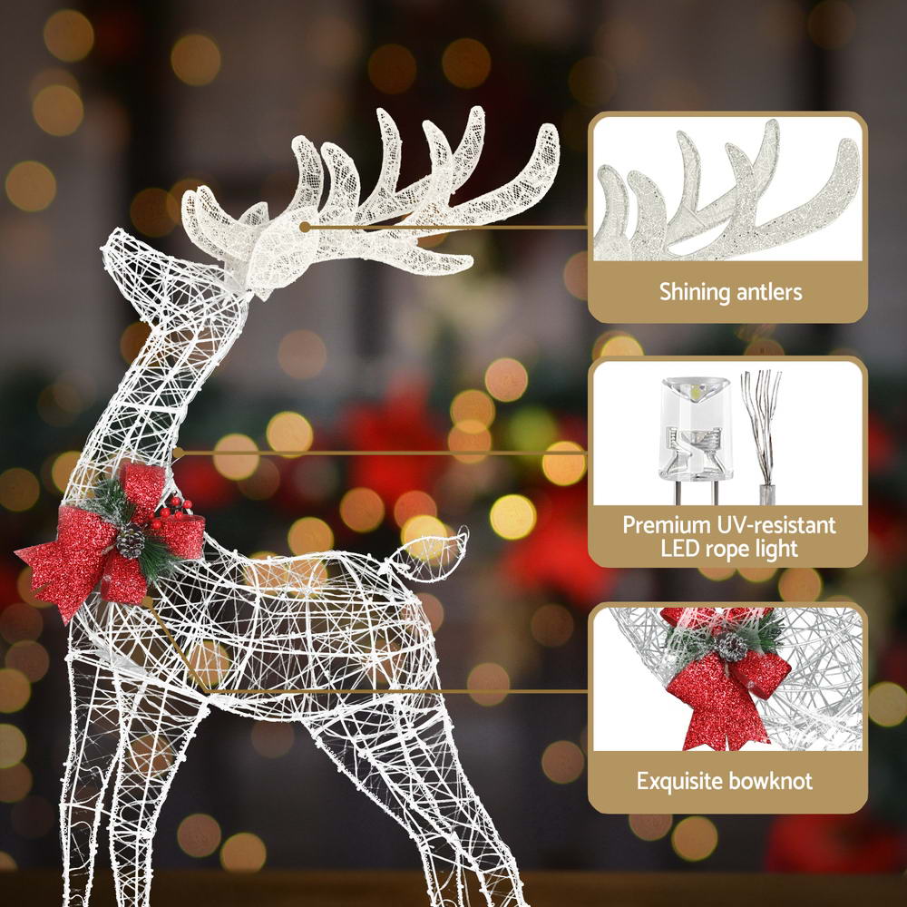 Light-Up Reindeer Set, Set of 2, 170 Warm White LEDs
