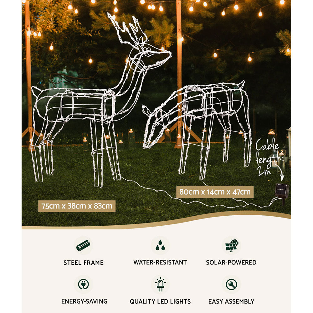 Light-Up Reindeer Pair, Set of 2, 200 LEDs